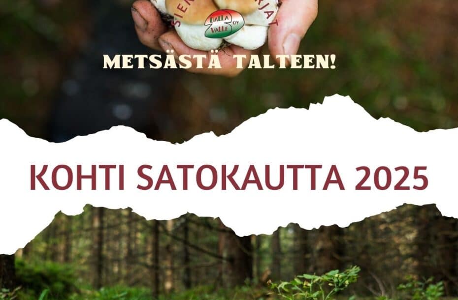 Kohti satokautta 2025