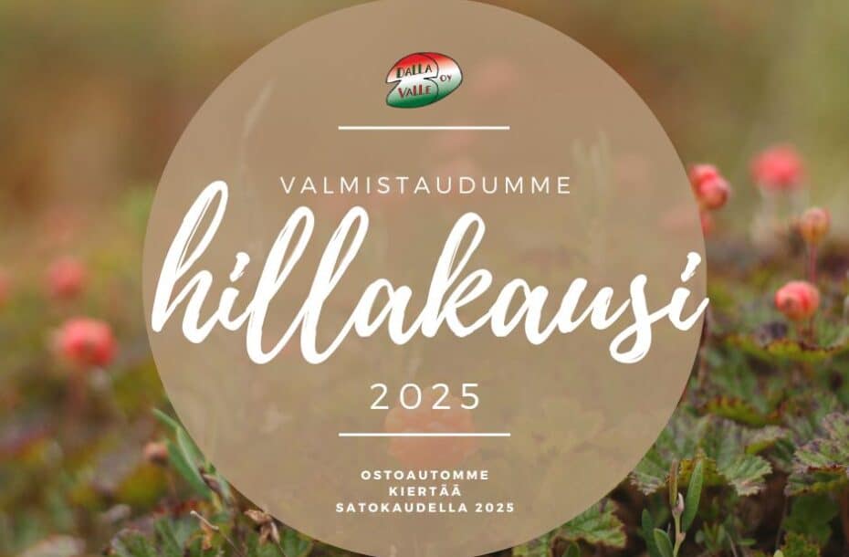 Hillakausi 2025