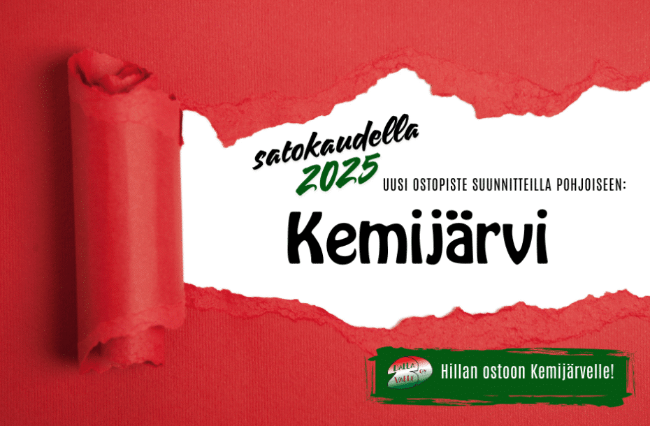 Ostopysäkki suunnitteilla Kemijärvelle
