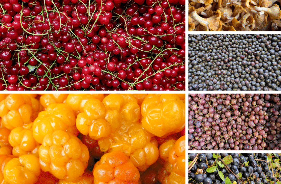 Harvest Season Stories Vol. 1 / 25