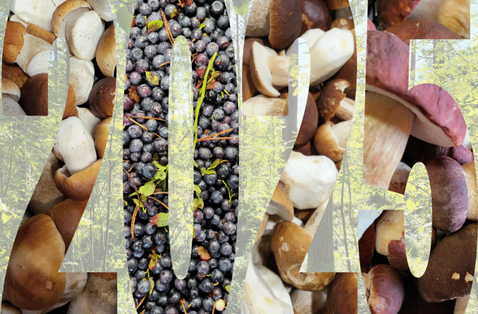 Harvest Season 2025 – Summary and Thanks
