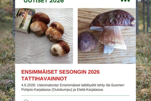 Ensimmäiset tattilöydöt tehty ennätyksellisen aikaisin