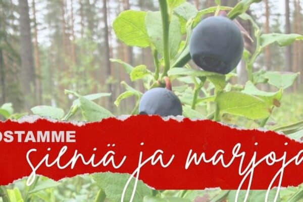 Ostoauto aloittaa Etelä-Karjalassa: Parikkala, Simpele, Ruokolahti, Imatra, Lappeenranta