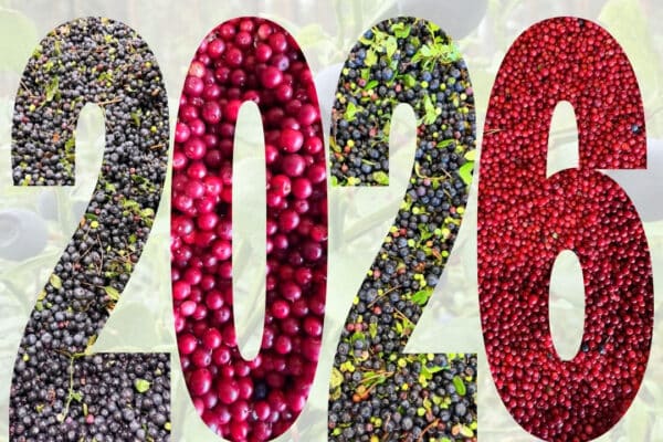 Kiitos satokaudesta 2026!
